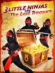 Маленькие ниндзя (3 Little Ninjas and the Lost Treasure, 1990)